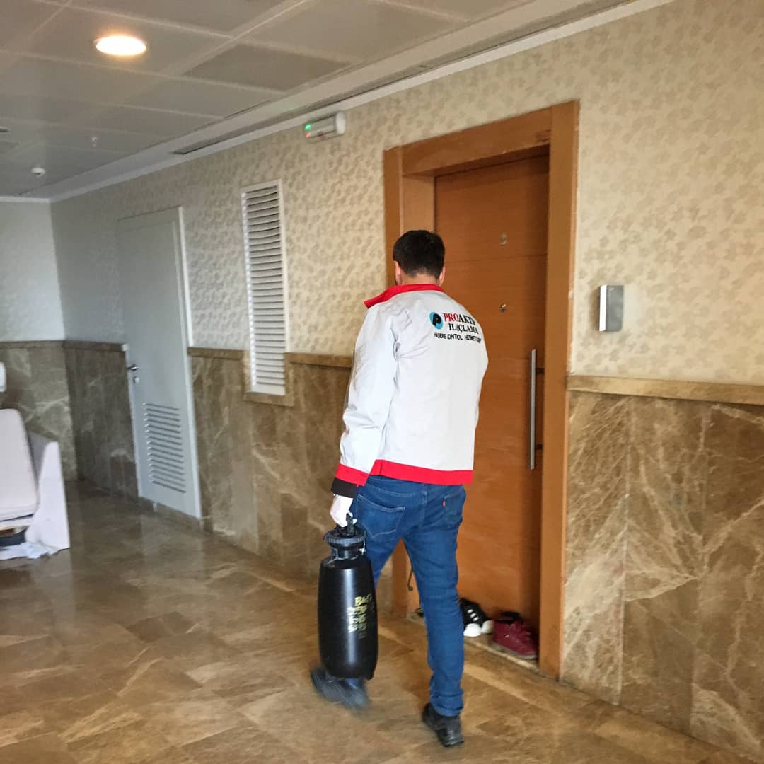 Bina ilaçlama uygulaması